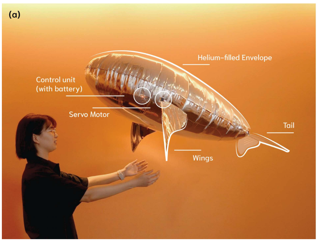 cuddle_fish.png