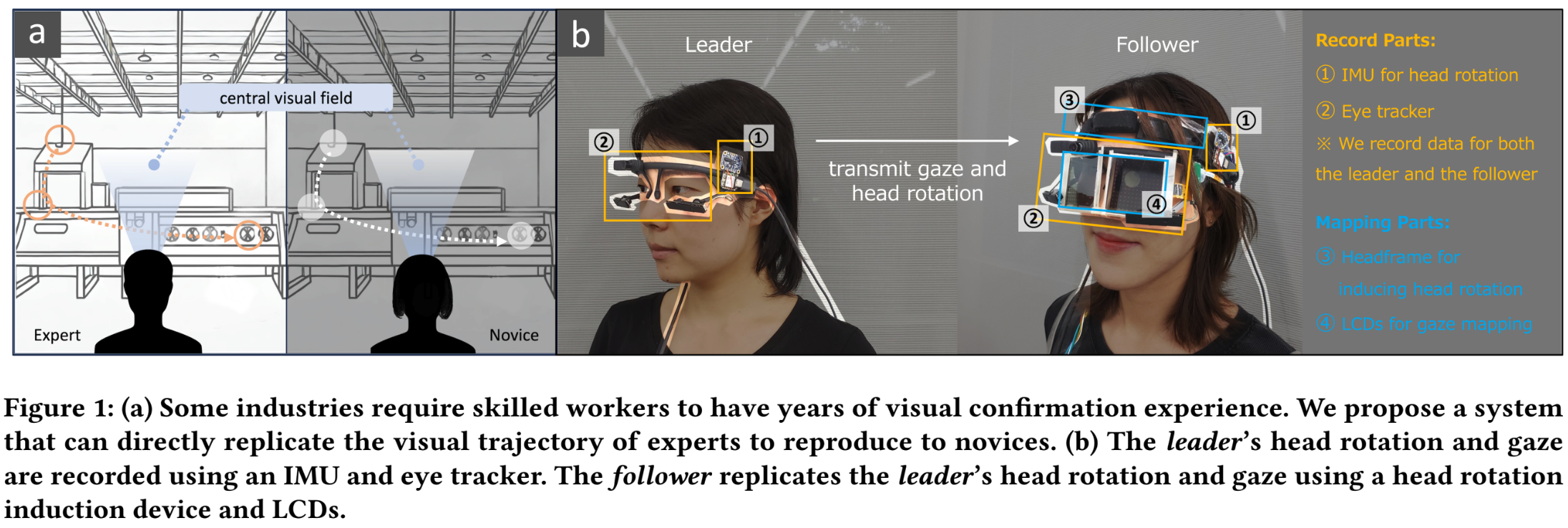 map_gaze.png