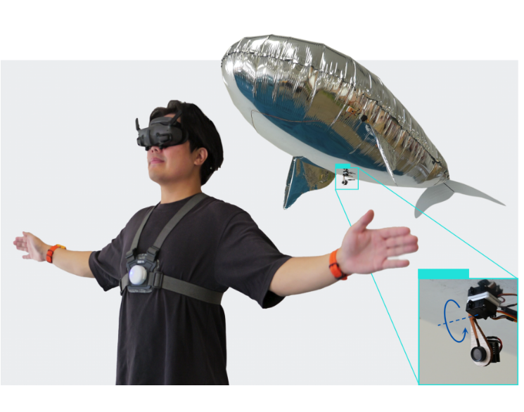 spread_wings.png